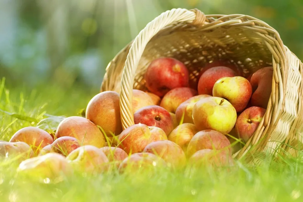 до чого сняться яблука